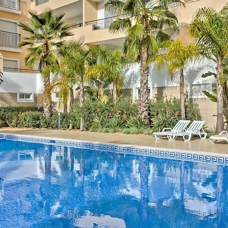 Palm Tree 1 With Pool By Homing