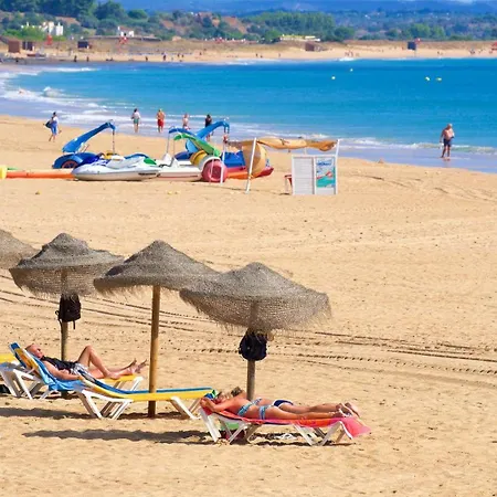 Palm Tree 1 With Pool By Homing アパート *